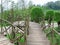 Beautiful Wood Bridge Scene at Bukit Jamur Rancabolang Ciwidey West Java Indonesia