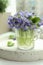 Beautiful wood violets in glass cup on window sill indoors. Spring flowers