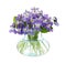 Beautiful wood violets in glass vase on white background. Spring flowers
