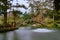 Beautiful wooden arch bridge scenics at University pond in Xitou Nature Education Area