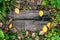 A beautiful wooden background, a leaf of a yellow green autumn day in nature, a cracked plank on the ground. Texture