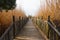 Beautiful wooden boardwalk leading to a wooden observation tower