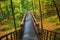 Beautiful wooden bridge in the forest. Colored leaves.