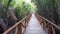 Beautiful wooden bridge pathway walking covered both sides with sea ocean water plants mangroves