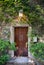 Beautiful wooden door covered by green ivy with vintage lighted lantern