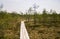 A beautiful wooden footpath in a marsh