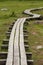 A beautiful wooden footpath in a marsh