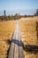 A beautiful wooden footpath through reeds on a lake