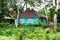 A beautiful wooden rural blue house with openwork lace trim on the background of lush vegetation.