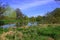 Beautiful woodland lake in the Hever Countryside