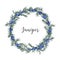 Beautiful wreath, circular frame or border made of juniper sprigs with berries hand drawn on white background. Gorgeous