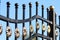 Beautiful wrought fence. Image of a decorative cast iron fence. metal fence