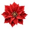 Beautiful Xmas flower decorations, AIGENERATED