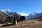 Beautiful Yak in panoramic view of Himalayas as Mount Ama Dablam Background