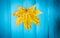beautiful yellow autumn leaf on old blue wooden background