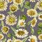 Beautiful yellow daisy flowers with green leaves on light gray background. Seamless spring pattern. Watercolor painting.