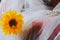 Beautiful yellow flower and crystal diadem on white vail of bride on vintage chair in wedding ceremony. Valentine day.