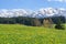 Beautiful yellow flower meadow in a idyllic mountainous landscape.