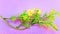 Beautiful Yellow Flower And Pink Background Illustration Image.