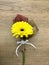 Beautiful yellow gerbera flower on wood background. Singl bouquet. A little bouquet of flowers packed in paper