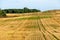 Beautiful yellow and gold field against the blue sky. The harvest season of wheat and other crops. Agriculture in an ecologically