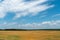 Beautiful yellow and gold field against the blue sky. The harvest season of wheat and other crops. Agriculture in an ecologically