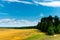 Beautiful yellow and gold field against the blue sky. The harvest season of wheat and other crops. Agriculture in an ecologically