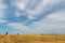 Beautiful yellow and gold field against the blue sky. The harvest season of wheat and other crops. Agriculture in an ecologically