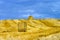 Beautiful yellow hill with haystacks at sunset