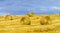 Beautiful yellow hill with haystacks at sunset