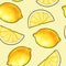 Beautiful yellow lemon fruits isolated on yellow background. Lemon doodle drawing. Seamless pattern