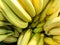 Beautiful yellow natural sweet tasty ripe soft round big bright bananas. Texture, background