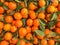 Beautiful yellow natural sweet tasty ripe soft round bright bright tangerines, fruits, clementines. Texture, background