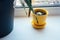 A beautiful yellow pot with small succulent in it stands on a white windowsill next to a large black flower pot with a green plant