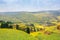 Beautiful yellow rapeseed fields blooming in Spring