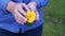 Beautiful yellow rose in female hands