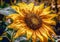 The beautiful yellow sunflower created with AI.