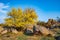 Beautiful yellowed vegetation and stones covered with lichen and moss hills in picturesque Ukraine