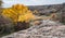 Beautiful yellowed vegetation and stones covered with lichen and moss hills in picturesque Ukraine