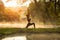 Beautiful Yoga woman in the morning at the hot spring park