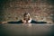 Beautiful yogini woman practices yoga asana Samakonasana Straight angle posture in the yoga studio on a brick wall background.