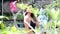 Beautiful young asian woman in black bikini and crochet summer top with shells walking in tropical garden. Summer