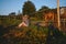 Beautiful young blonde woman dressed safari style in hat and plaid shirt posing with thoroughbreds horses on farm in