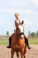 Beautiful young blonde woman riding chestnut horse