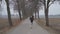 Beautiful young brunette caucasian fitness woman running outdoor at alley in Swedish winter landscape