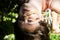 Beautiful young brunette woman hanging upside down. blue eyed girl upside down. World inside out. The world is upside down. Girl