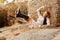 Beautiful young cheerful country girl in a light dress and black boots lies on the ground next to a haystack and laughs