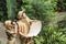 beautiful young couple in safari suits with map and binoculars