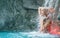 Beautiful young cute sexy blonde woman in colorful bikini under the splashing water of the Spa Wellness pool waterfall enjoys the