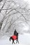 Beautiful young equestrian woman in winter woods